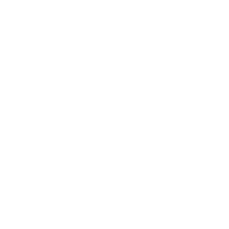 alldata logo